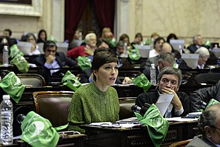 <span class="mw-page-title-main">Mayra Mendoza</span> Argentine politician