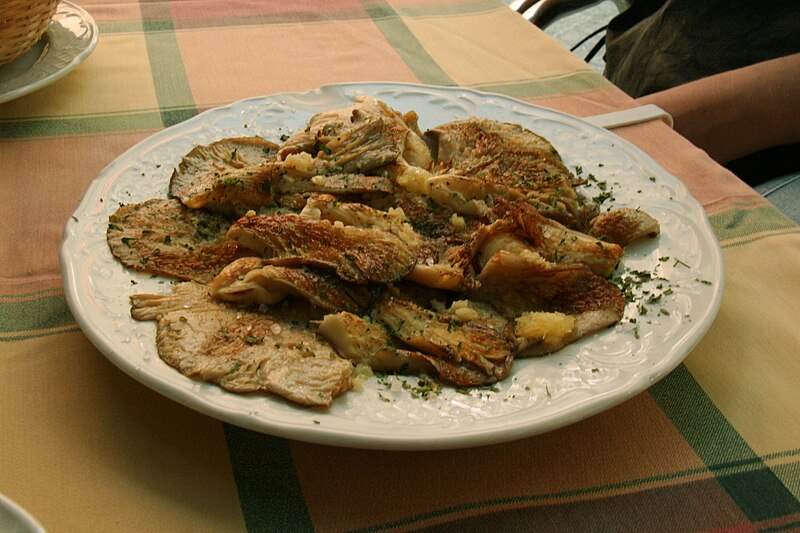 File:Setas de cardo- a la plancha.jpg