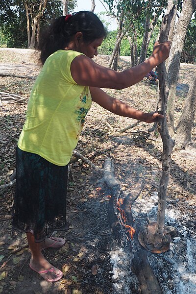 File:Siriono people cooking a turtle 01.jpg