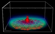 Solid geometry with volume rendering Image courtesy of Patrick Chris Fragile Ph.D., UC Santa Barbara Solid geometry with volume rendering.jpg