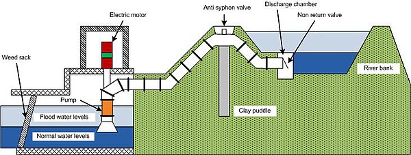 Diagram showing the arrangement of an electric powered vertical spindle pump.