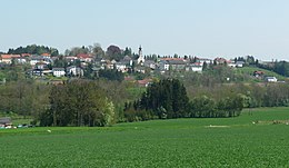 Steinhaus - Vedere