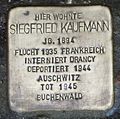 image=File:Stolperstein_Siegfried_Kaufmann_Kehl.jpg