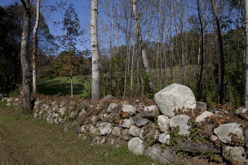 File:Stone fence in Litchfield, Connecticut LCCN2012631555.tif