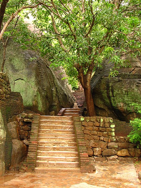 File:Stone stairs at Sigiriya, Sri Lanka.jpg