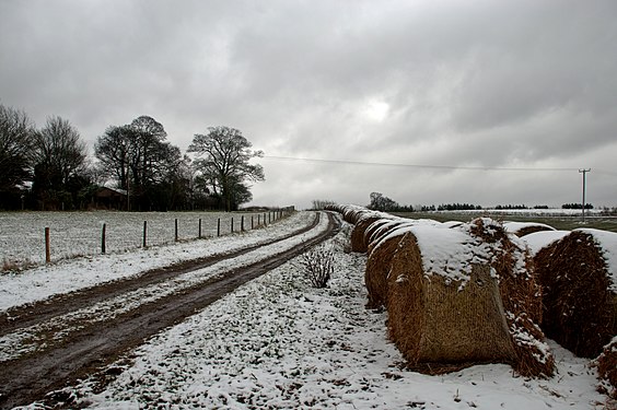 Straw bales in the snow, South Derbyshire