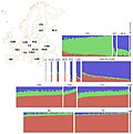 Miniatuur voor Bestand:Structure plot of European populations from the Genome Ukraine Project.jpg