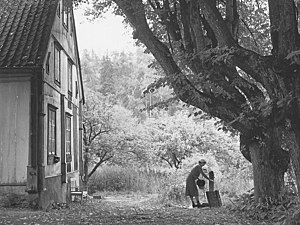 Västra gaveln 1957.