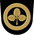 Suonenjoki címere