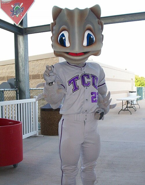 Super Frog at a Baseball game.