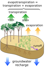 Hydrological factors at the soil surface determining the recharge Surface water cycle.svg