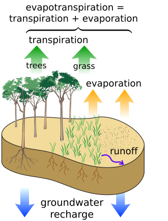 Water balance Surface water cycle.svg