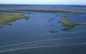 Aerial photo (2005/2006), on the right the Trzcinice Islands