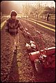 TONY OWEN ORGANIC FARM, SEEDING MACHINE - NARA - 543117.jpg
