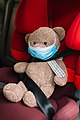 Teddy bear toy in a medical mask is sitting in a child seat in the car. (49894805893).jpg