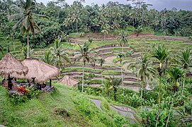 Tegallalang, Bali