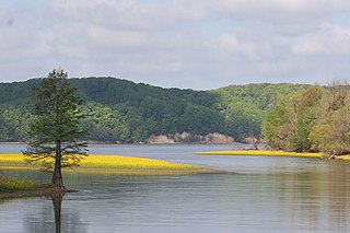 <span class="mw-page-title-main">Tennessee National Wildlife Refuge</span>