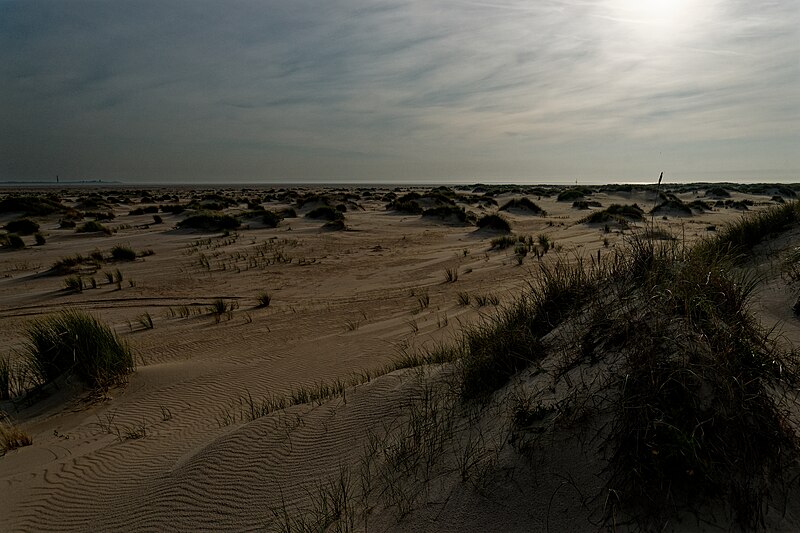 File:Texel - De Hors - View SW XXVI.jpg