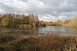 River Mersey in Padgate The quality of Mersey - geograph.org.uk - 109017.jpg