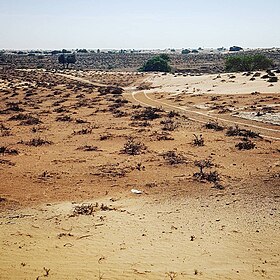 The site of the Ancient Near Eastern City of Ed-Dur today. It thrived in the 1st century حقبة عامة as a coastal port and city that traded across the تاريخ قديم world.