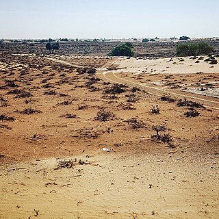 Ed-Dur Ancient city and archaeological site in the UAE