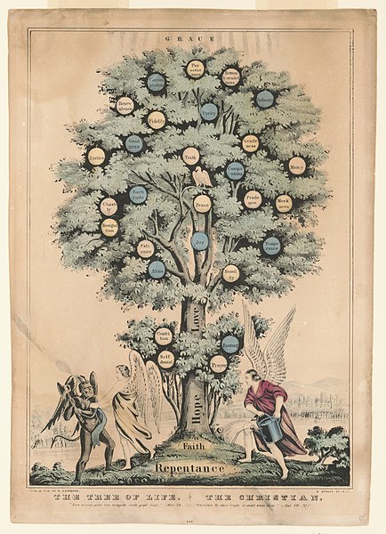 File:The tree of life. the Christian LCCN2002697363.jpg