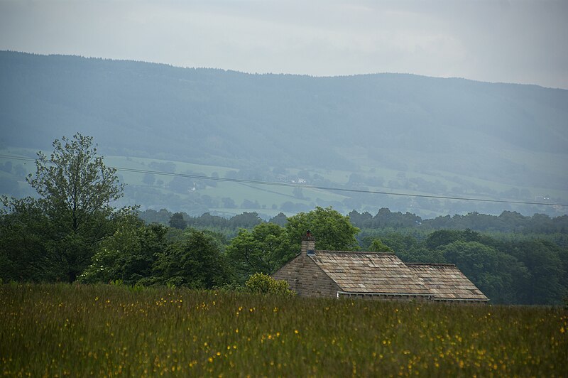 File:The view South over Hodgson Moor - geograph.org.uk - 4547851.jpg