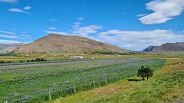 File:Thingeyri_airport_Iceland_20230716.jpg