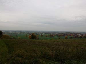 Norddeutsches Tiefland: Naturräumliche Gliederung, Geologie, Landschaft, Böden und ihre Entstehung, Klima und Vegetation