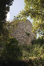 Vignette pour Château de Monternano