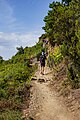 * Nomination Trail 586 through vineyards NW of Volastra, Cinque Terre --Tagooty 01:57, 15 November 2023 (UTC) * Promotion  Support Good quality. --Jakubhal 04:46, 15 November 2023 (UTC)