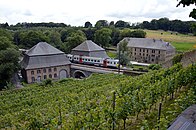 Train passes by Villers Abbey vineyard, Villers-la-Ville, 2021.jpg