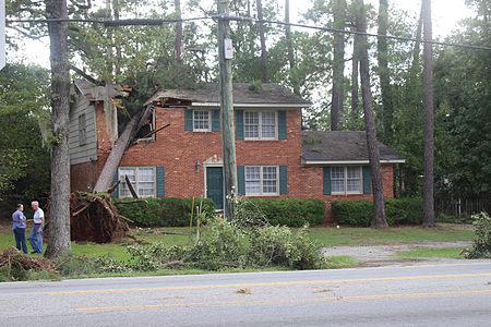 Photo of a tree, fallen on house, Valdosta, Georgia