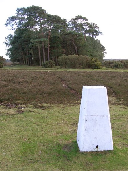 File:Triangulation pillar on Ibsley Common, New Forest - geograph.org.uk - 312956.jpg