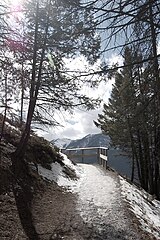 File:Tunnel Mountain Trail (3439856697).jpg (Category:Tunnel Mountain)