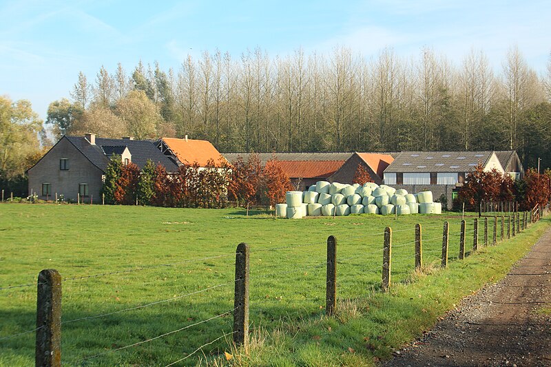 File:Twee hoeven, Kottemstraat, Oombergen 01.jpg