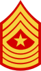 E-9 sgtmaj insignia