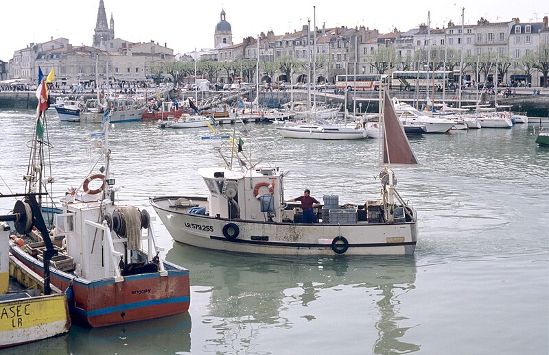 File:Un bateau de pêche polyvalent (2).jpg