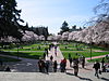 The Quad at University of Washington