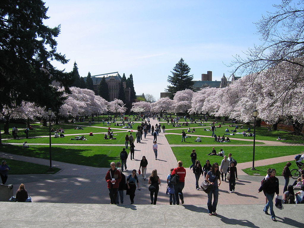 University of Washington Quad, Spring 2007, Settle in Seattle