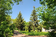 VBurimka Park Cherk-22.jpg