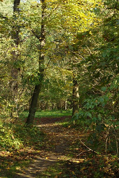 File:Veltrusy, zámecký park na podzim.jpg