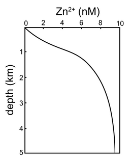 Vertical Zn concentration profile in the Pacific ocean. Adapted from Bruland, 1980 Vertical Zn concentration profile in the Pacific ocean.png