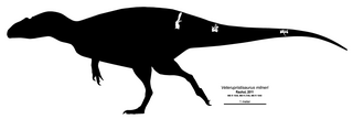 <i>Veterupristisaurus</i> extinct genus of carcharodontosaurid theropod dinosaur, Jurassic period, Tanzania