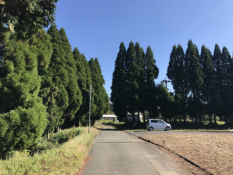 File:View near Shimono Pond 1.jpg