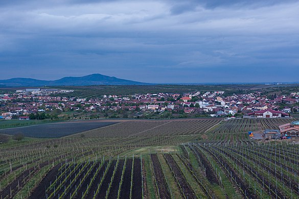 View of Velké Pavlovice from Slunečná observation tower