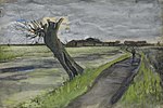 Vincent van Gogh Pollard Willow) .jpg