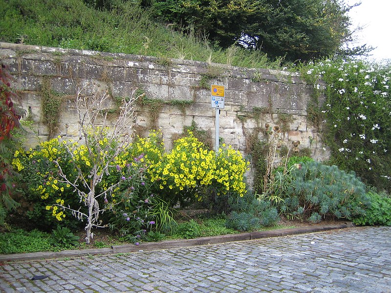 File:Wall to Warwick castle from Mill Street 2.JPG