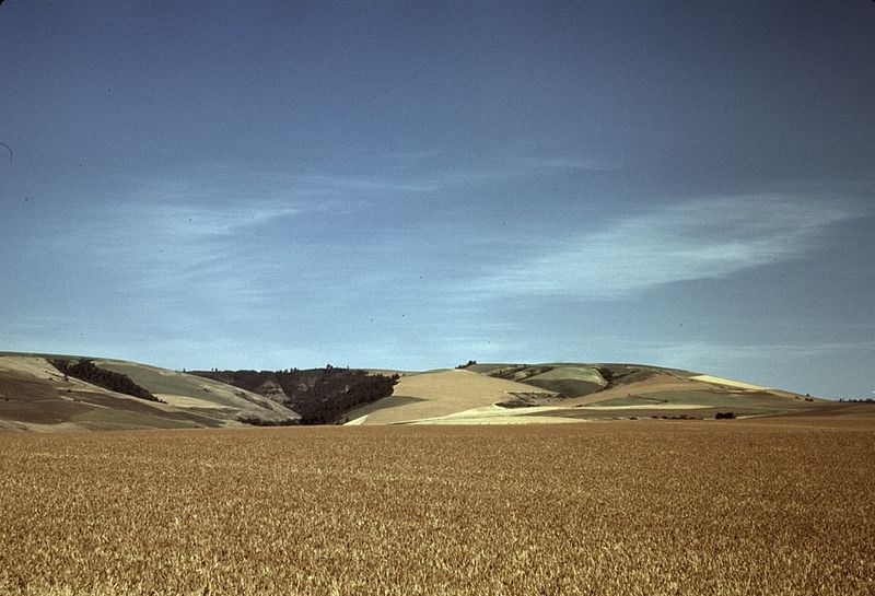 File:Wheat land, Walla Walla, Washington1a34224v.jpg