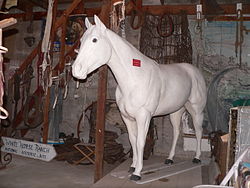Музей ранчо Белой лошади 1.JPG